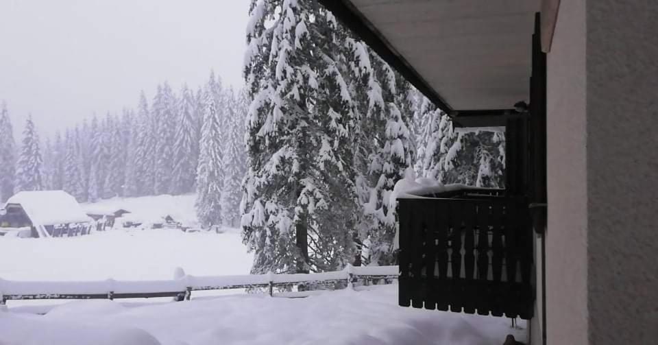 Apartma Anja Zgornje Gorje Luaran gambar