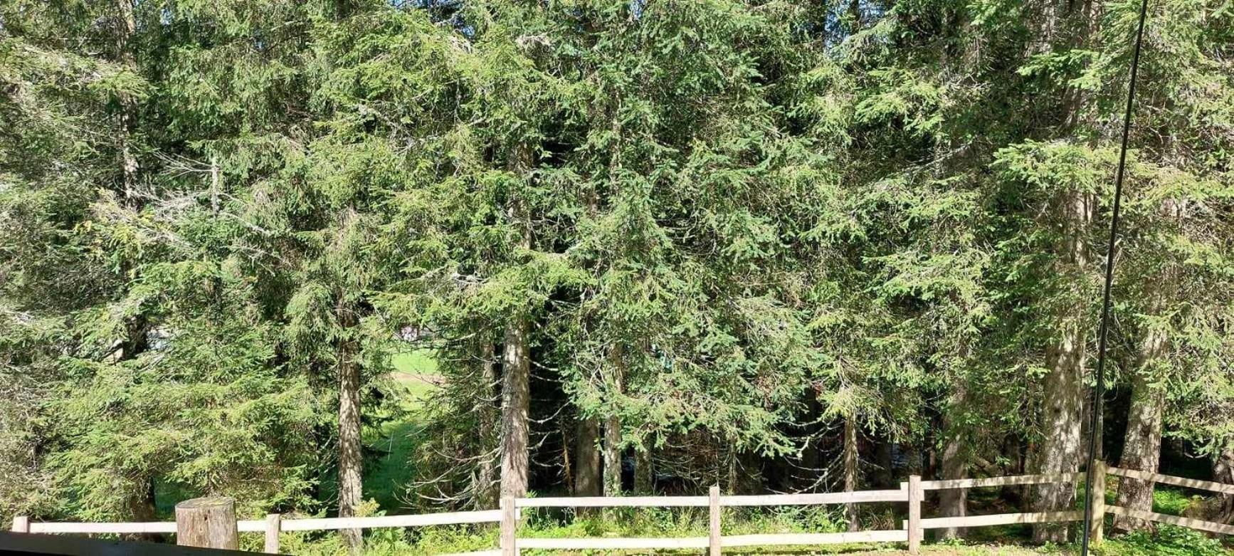 Apartma Anja Zgornje Gorje Luaran gambar